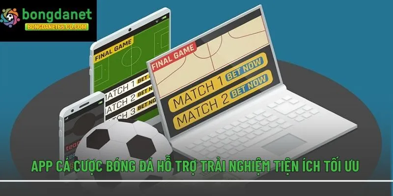 App cá cược bóng đá hỗ trợ trải nghiệm tiện ích tối ưu