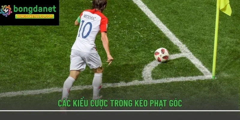 Các kiểu cược trong kèo phạt góc