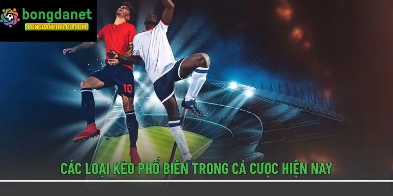 Các loại kèo phổ biến trong cá cược hiện nay