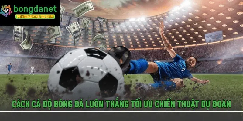 Cách cá độ bóng đá luôn thắng tối ưu chiến thuật dự đoán