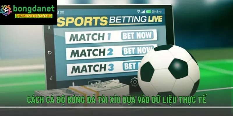 Cách cá độ bóng đá tài xỉu dựa vào dữ liệu thực tế