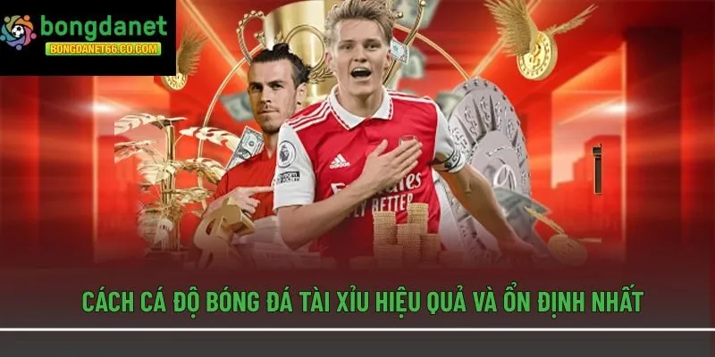 Cách cá độ bóng đá tài xỉu