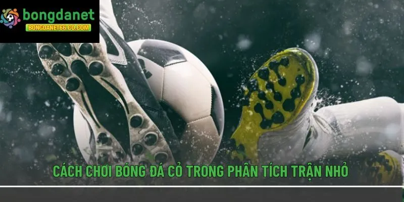 Cách chơi bóng đá cỏ trong phân tích trận nhỏ