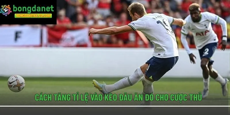 Cách tăng tỉ lệ vào kèo đâu ăn đó cho cược thủ