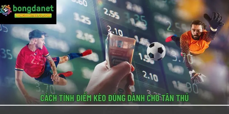 Cách tính điểm kèo đúng dành cho tân thủ