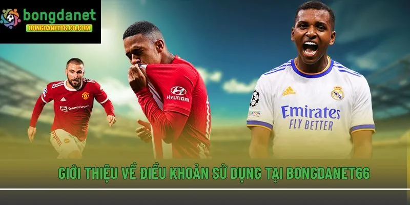 Giới thiệu về điều khoản sử dụng tại Bongdanet66