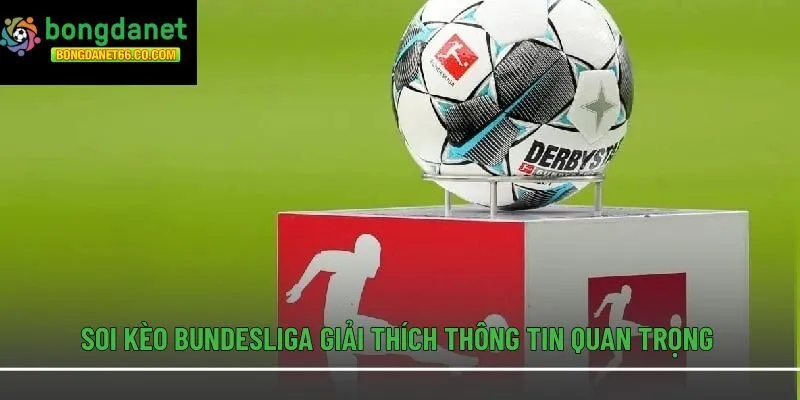 Soi kèo Bundesliga giải thích thông tin quan trọng