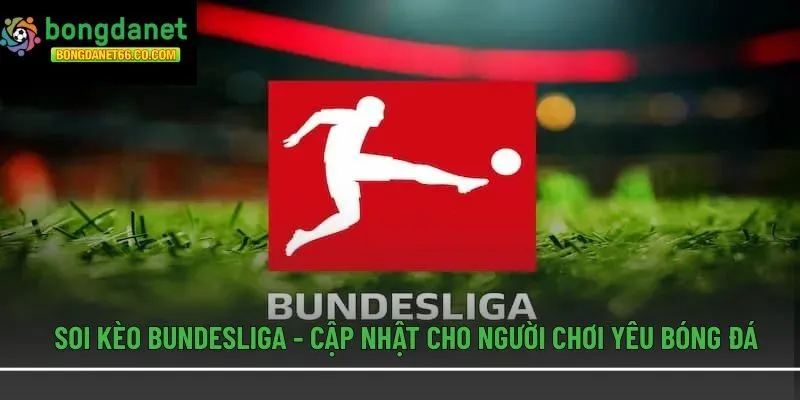 Soi kèo Bundesliga