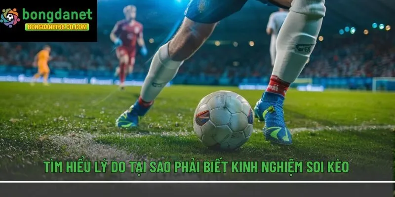 Tìm hiểu lý do tại sao phải biết kinh nghiệm soi kèo