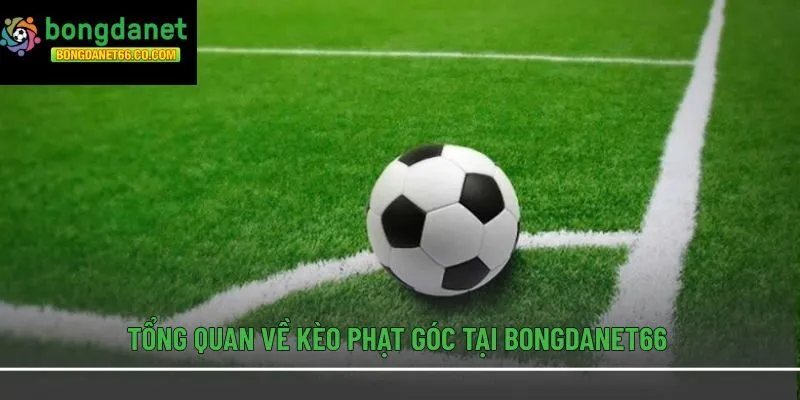 Tổng quan về kèo phạt góc tại Bongdanet66